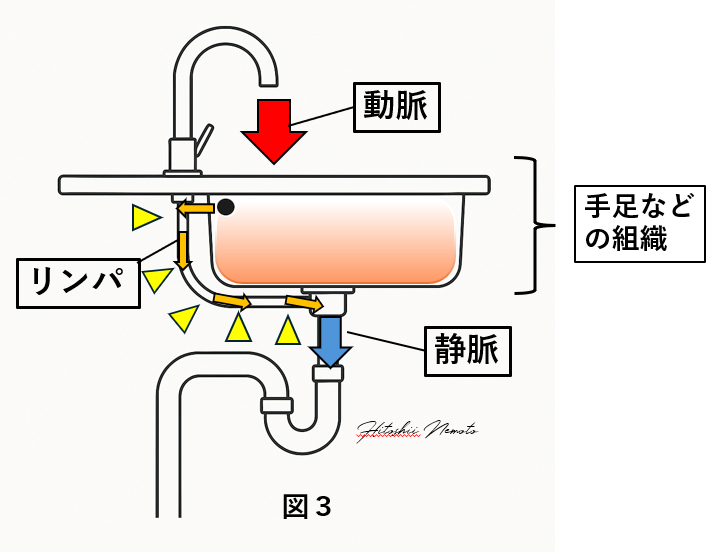 根本医師コラム,リンパ浮腫について